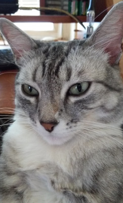 2016-05-06 18-01-46.JPG