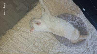 20240331_103831.jpg (1.43 МБ) 12600 просмотров 20240331_103831.jpg